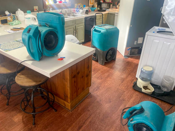 Best Flooded house restoration  in Burns, TN