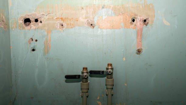 Best Fire Damage Restoration  in Burns, TN