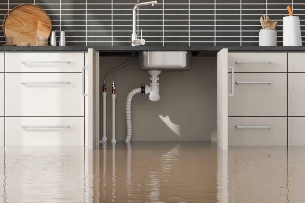 Best Local water damage restoration  in Burns, TN
