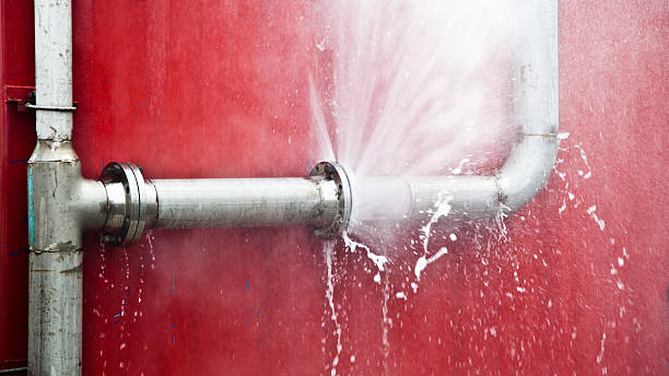 Best Water damage restoration process  in Burns, TN