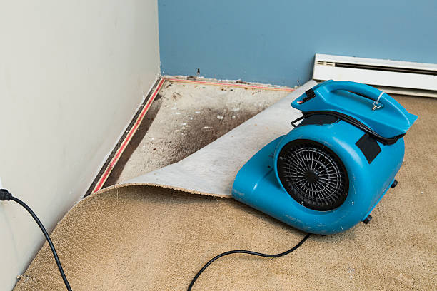 Best Water damage restoration insurance claims  in Burns, TN